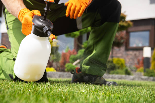 Charlevoix, MI Pest Control Pros